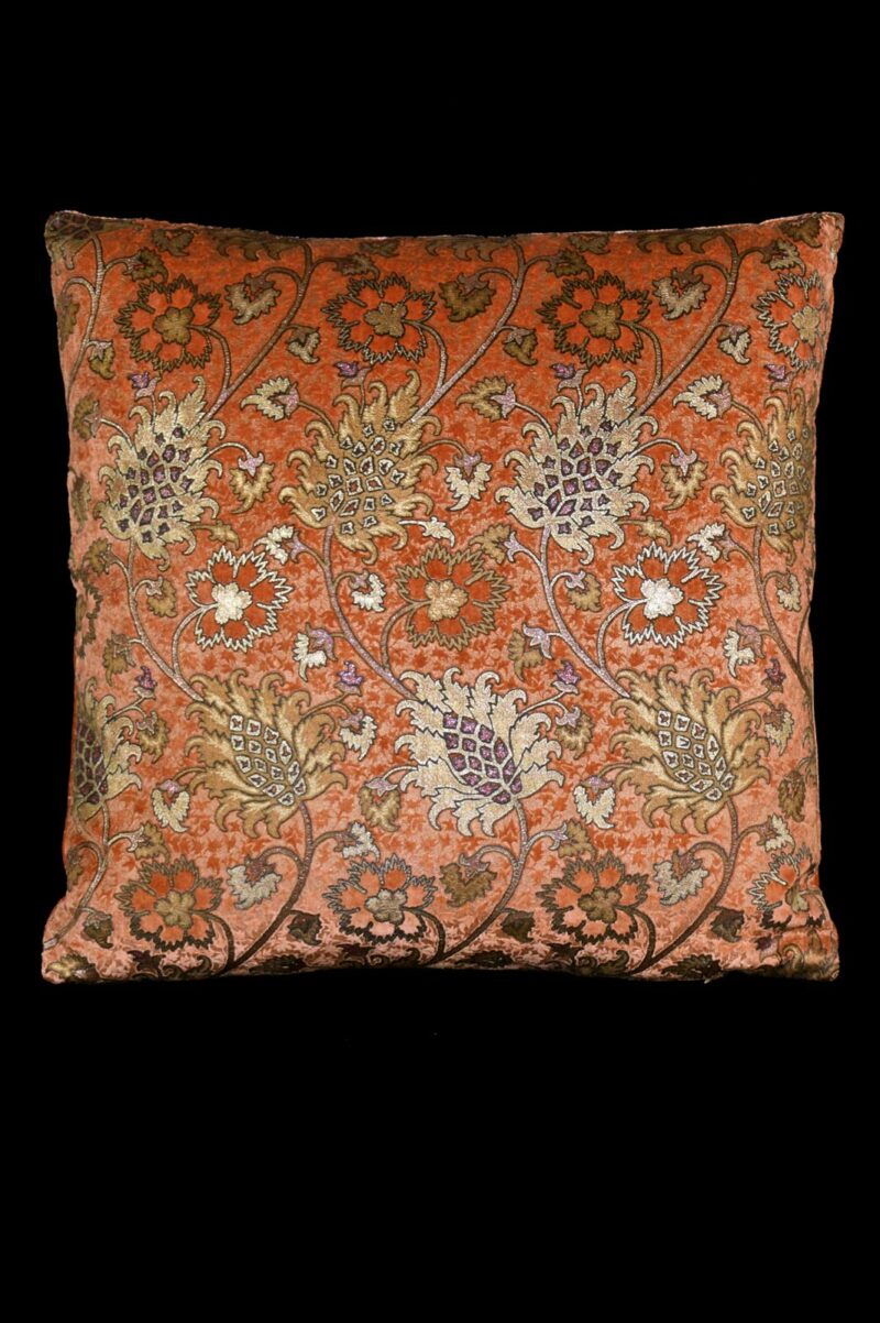 Delphos printed velvet cushion