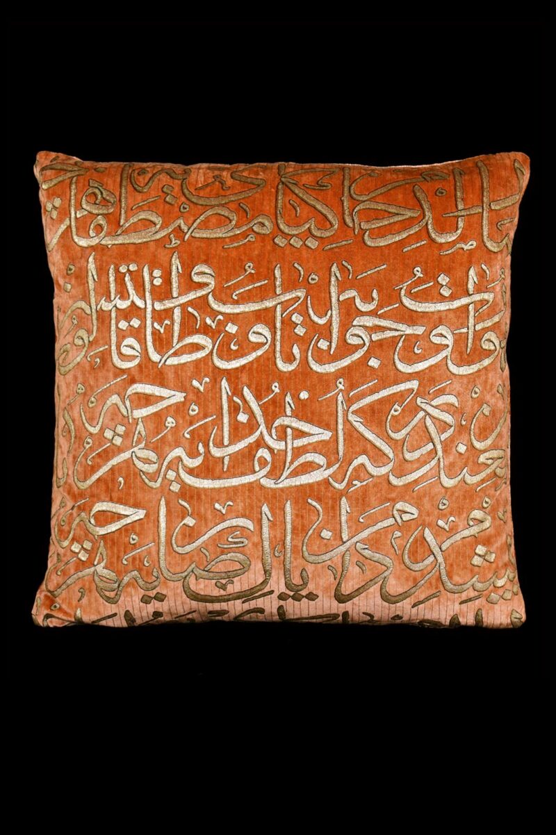 Delphos printed velvet cushion