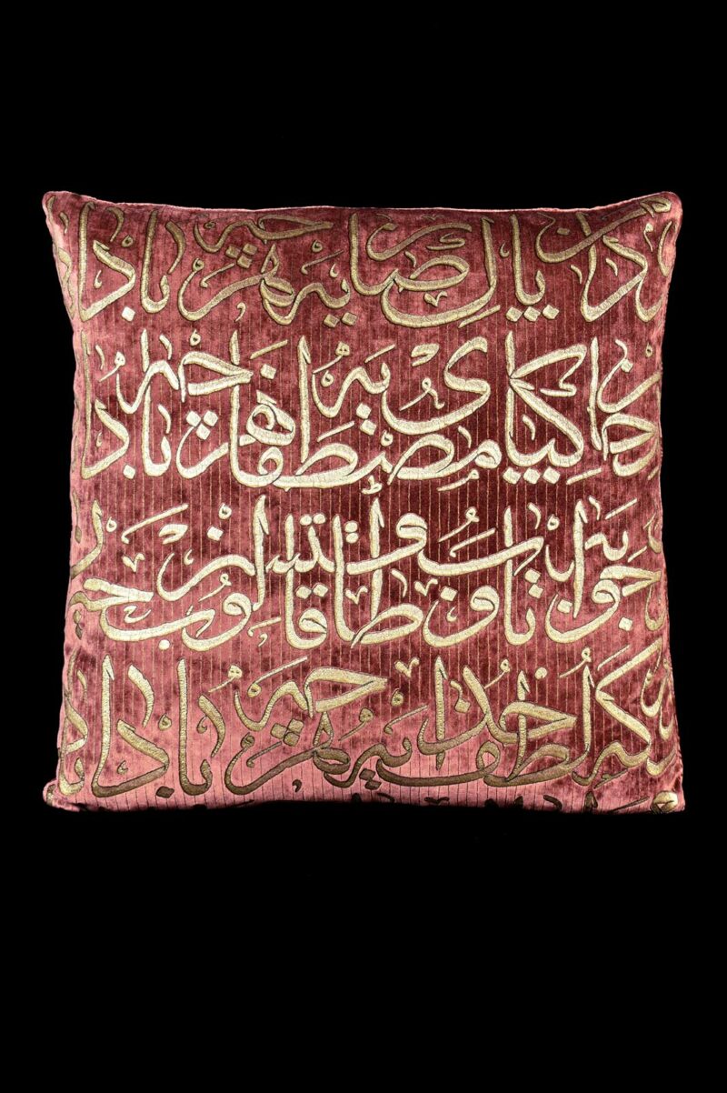 Delphos printed velvet cushion