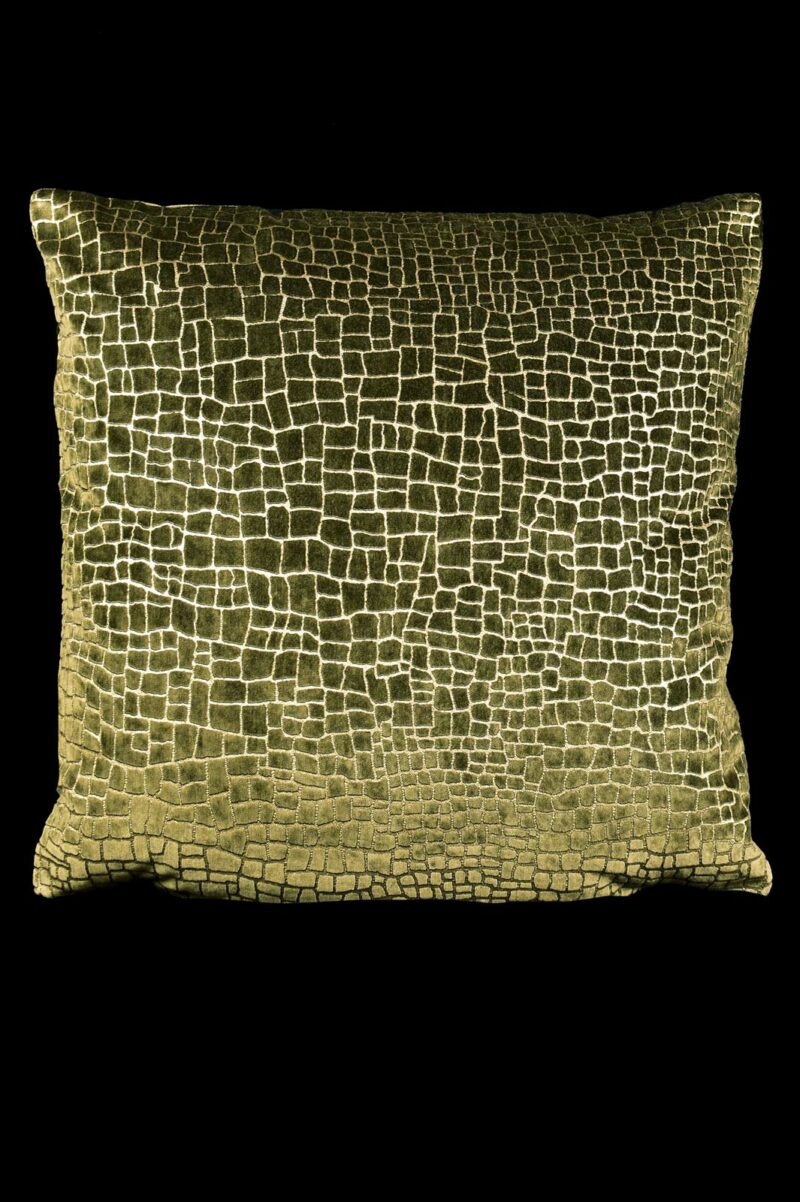 Delphos printed velvet cushion