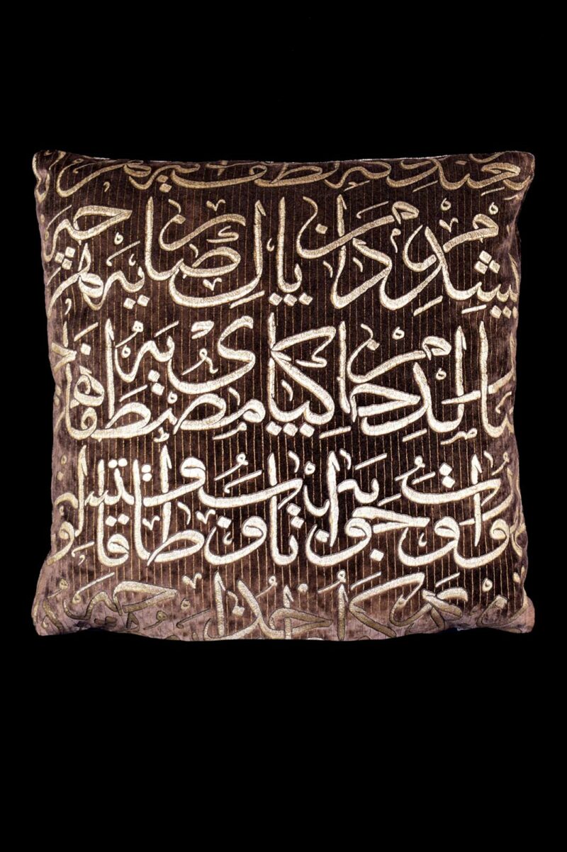 Delphos printed velvet cushion