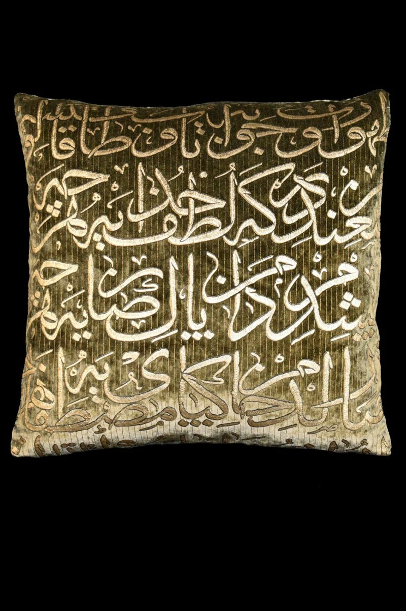 Delphos printed velvet cushion