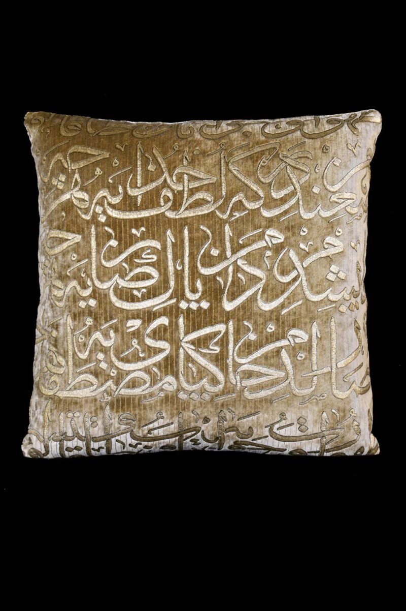 Delphos printed velvet cushion