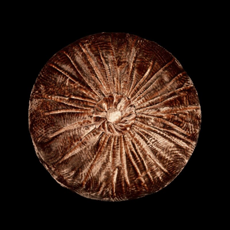Furrowed velvet round tobacco brown cushion