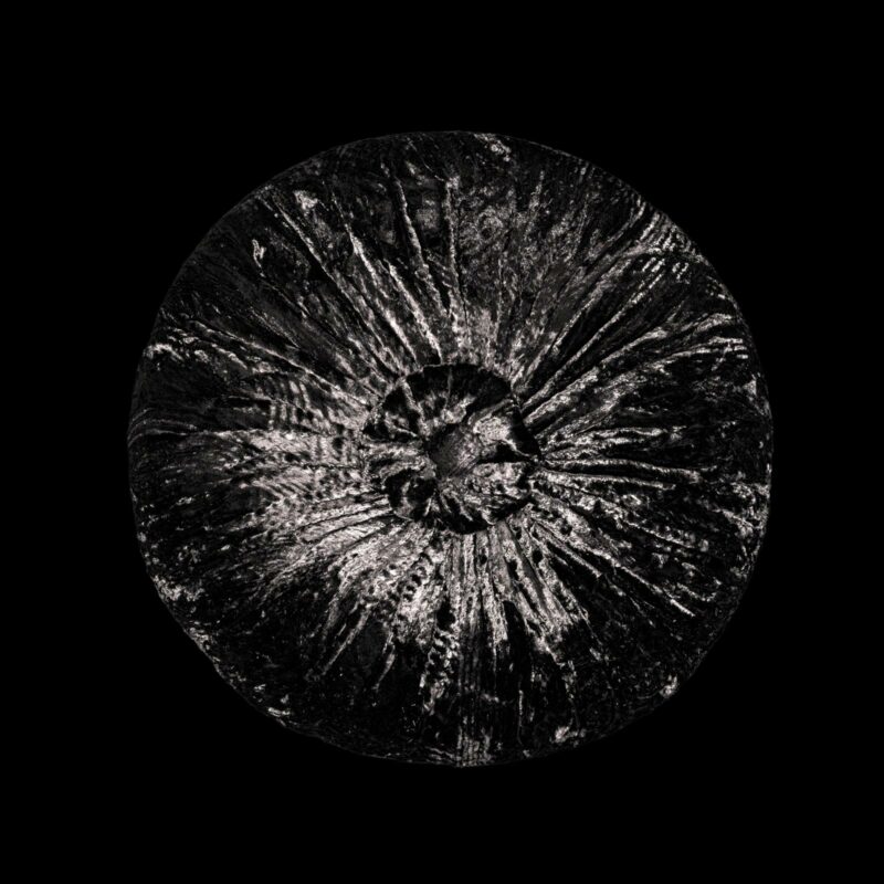 Furrowed velvet round black cushion